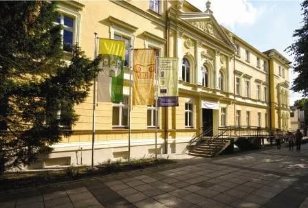 A grand, yellow building with flags hanging outside and a tree in the foreground, creating a striking architectural and natural contrast.